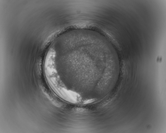 X0000110890590200907161528