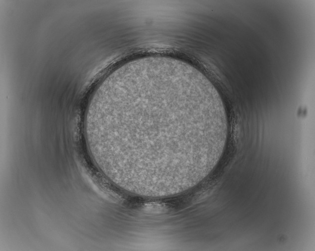 X0000110890591200907161528
