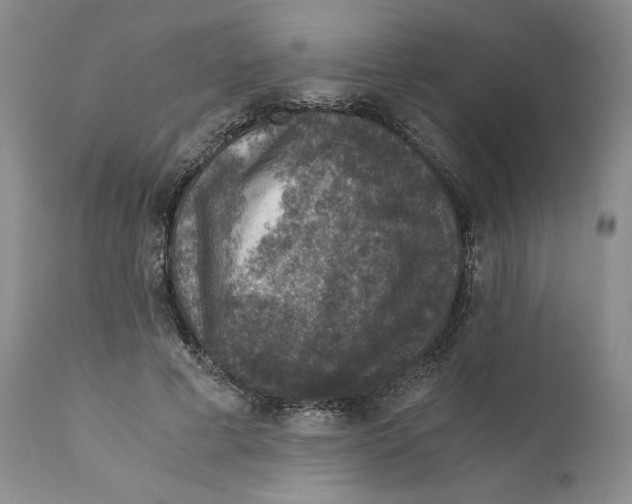 X0000110890593200907161528