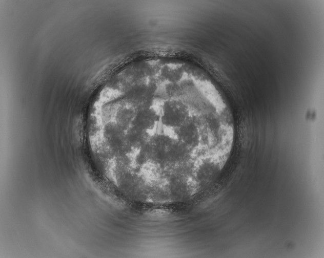 X0000110890594200907161528