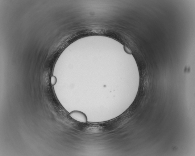 X0000110890595200907161528