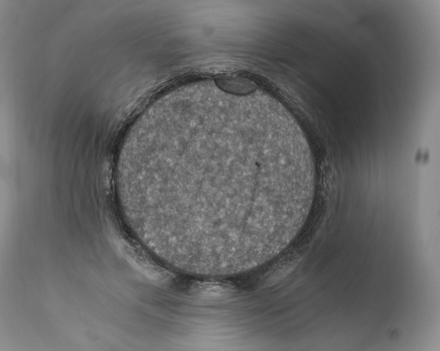 X0000110890597200907161528
