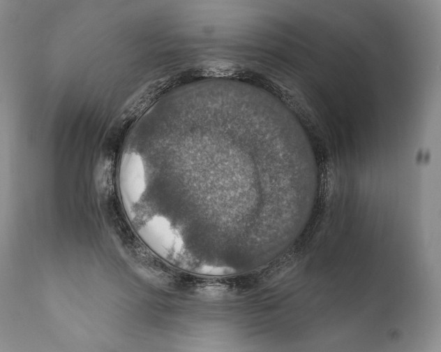 X0000110890598200907161528