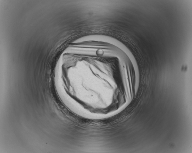 X0000110890599200907161528