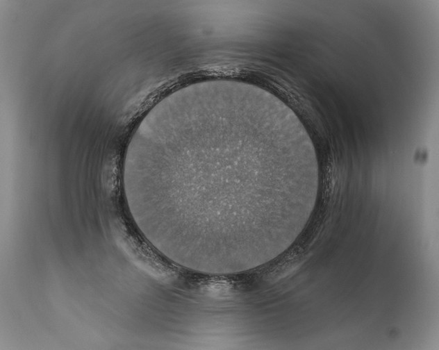 X0000110890600200907161528