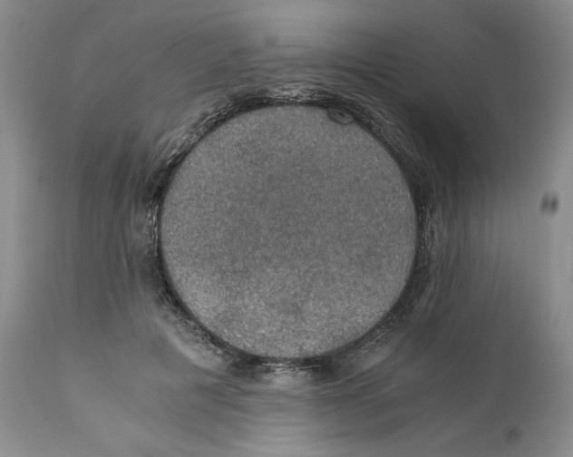 X0000110890601200907161527