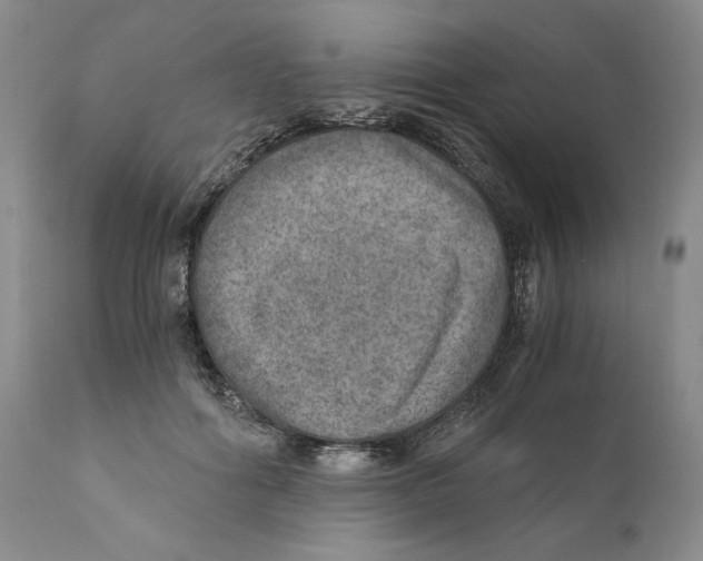 X0000110890602200907161527