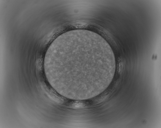 X0000110890604200907161527