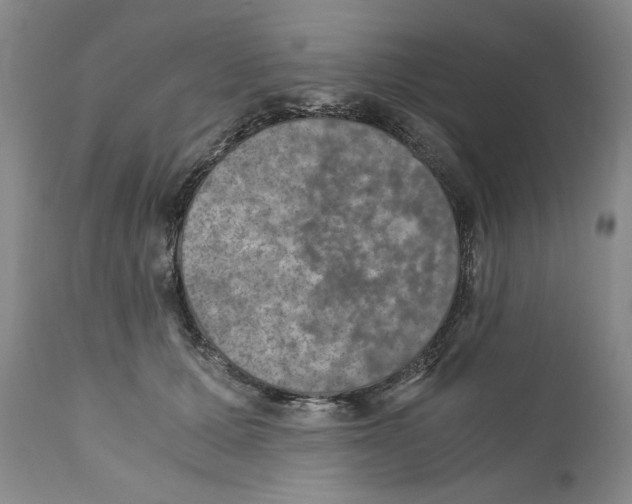 X0000110890607200907161527
