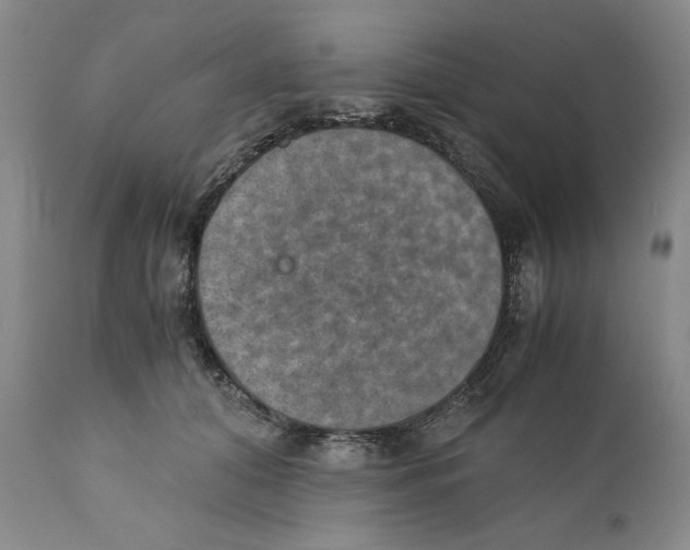 X0000110890608200907161527