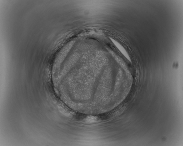 X0000110890609200907161527