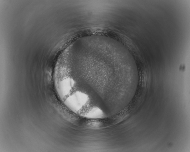 X0000110890610200907161527