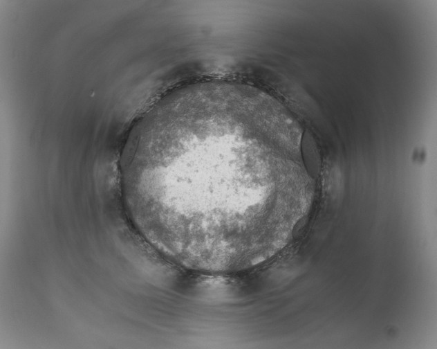 X0000110890611200907161527