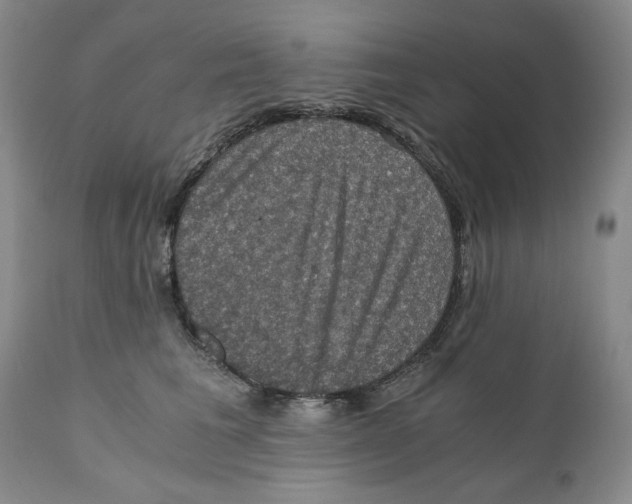 X0000110890613200907161527