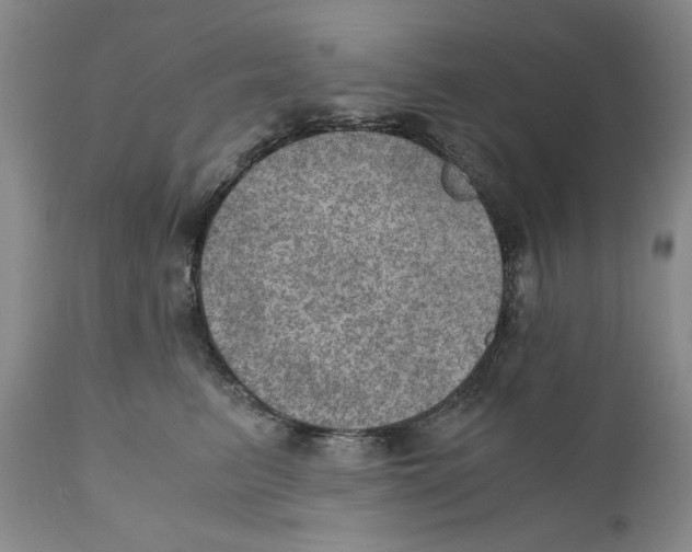 X0000110890615200907161527