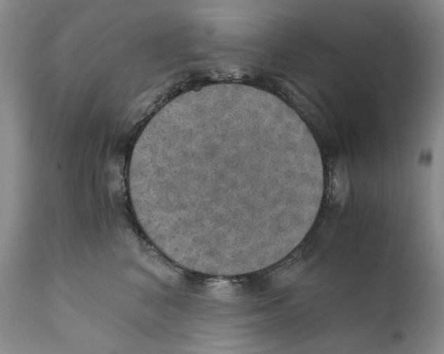 X0000110890616200907161527