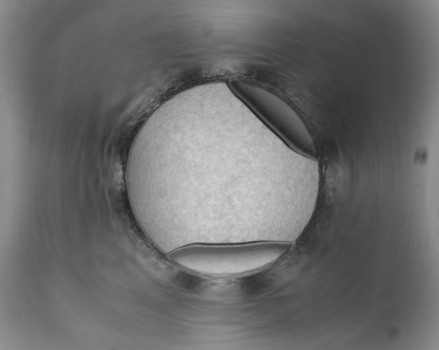 X0000110890617200907161527