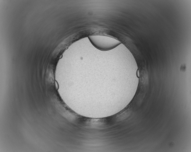X0000110890622200907161527