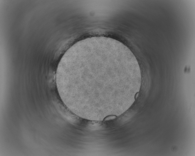 X0000110890624200907161527