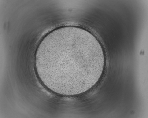 X0000110890625200907161526