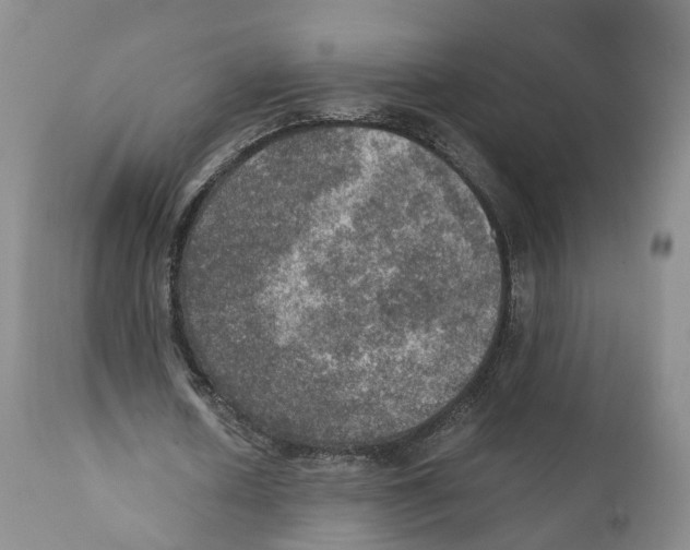 X0000110890626200907161526