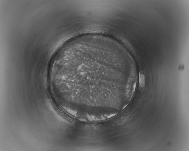 X0000110890627200907161526