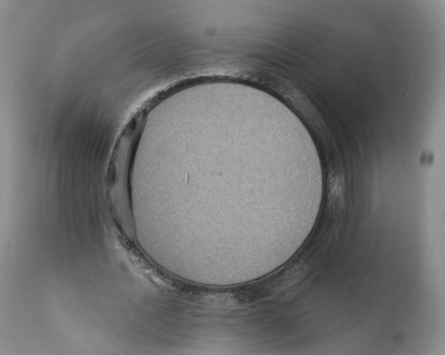 X0000110890628200907161526
