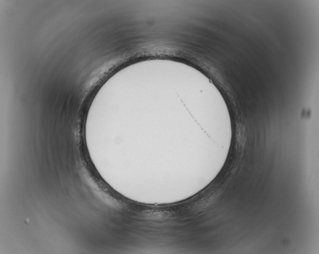 X0000110890629200907161526