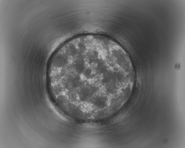 X0000110890630200907161526