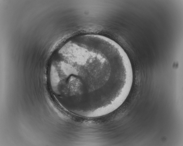 X0000110890634200907161526