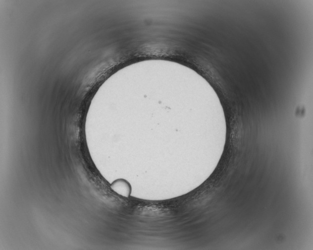 X0000110890635200907161526