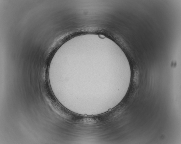 X0000110890636200907161527