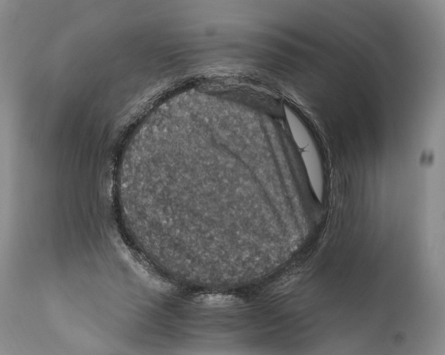 X0000110890637200907161527