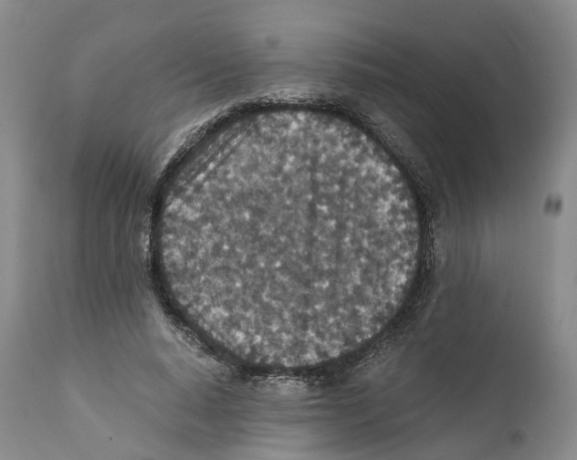 X0000110890640200907161527
