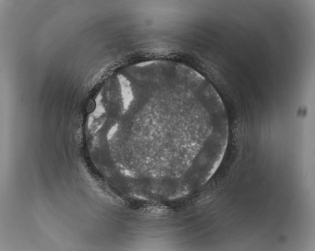 X0000110890642200907161527