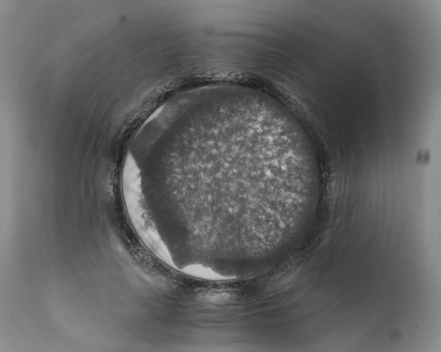 X0000110890643200907161527