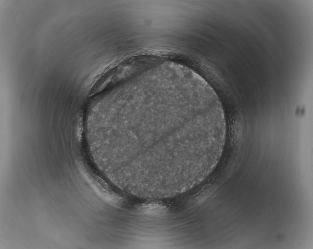 X0000110890644200907161527
