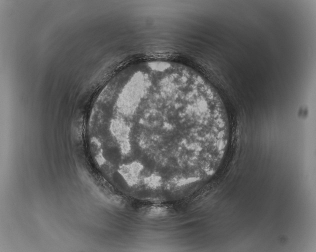 X0000110890647200907161527