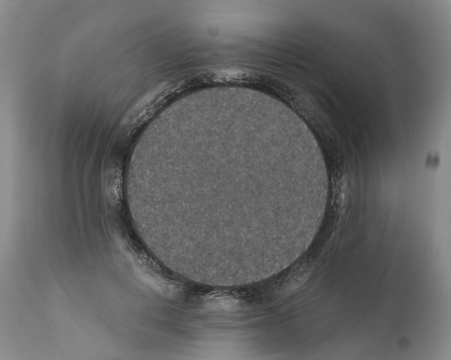 X0000110890648200907161527