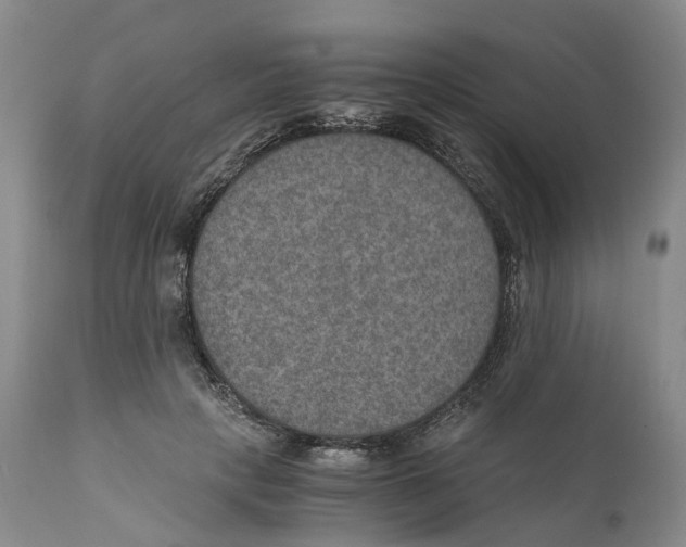 X0000110890649200907161527