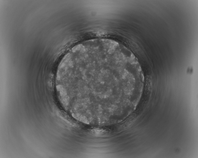 X0000110890650200907161527