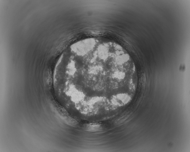 X0000110890651200907161527