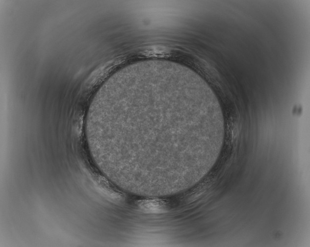 X0000110890652200907161527