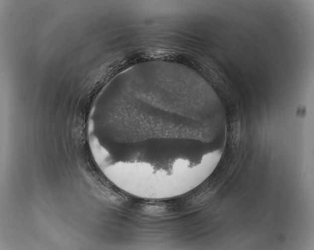 X0000110890653200907161527