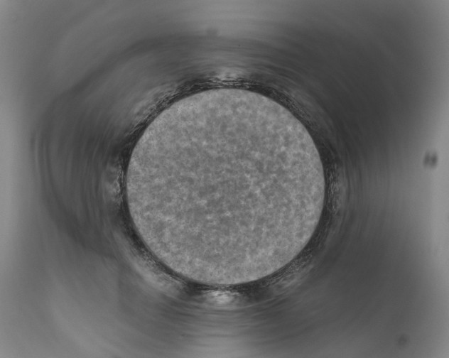 X0000110890654200907161527