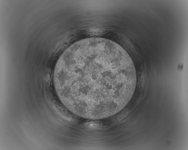 X0000110890655200907161527