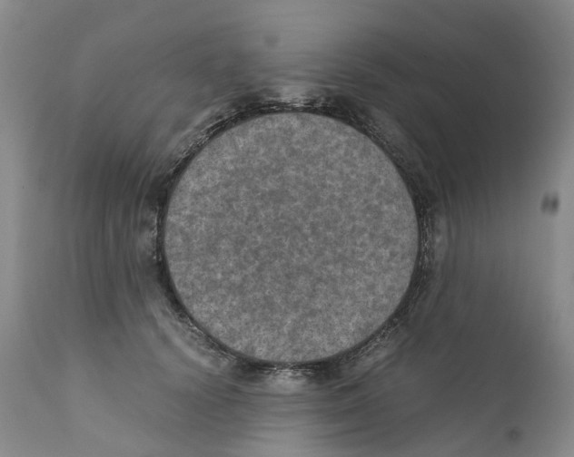 X0000110890656200907161527