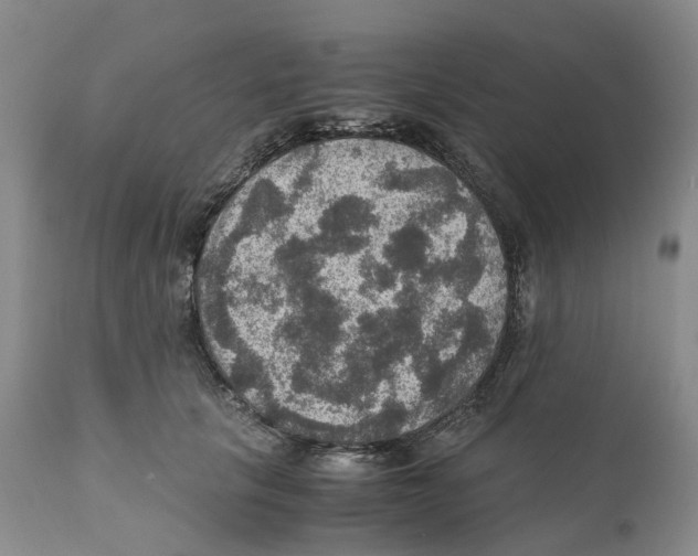 X0000110890657200907161527