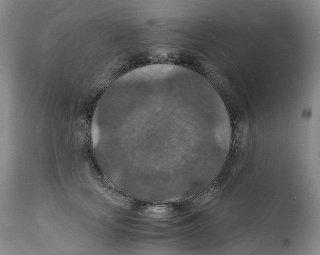 X0000110890659200907161527