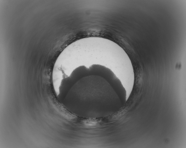 X0000110890661200907161527